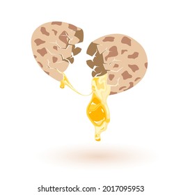 Raw quail eggs, dripping on surface, yellow liquid with yolk. Vector omelette, fried egg, morning breakfast full of protein, cooking design. Isolated on white background