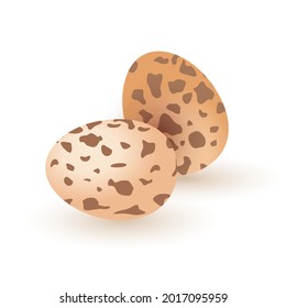 Raw quail eggs, morning breakfast delicacy, tasty healthy product, full of protein. Vector whole quail eggs with brown dots. Food and eating idea isolated on white background