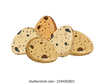Raw quail eggs, whole, vector illustration isolated on white background