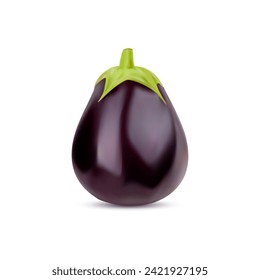 Raw realistic eggplant vegetable. Whole ripe isolated veggie. 3d vector rounded and deep purple aubergine with glossy skin and green stem. Its firm, white flesh holds a slightly bitter delicious taste