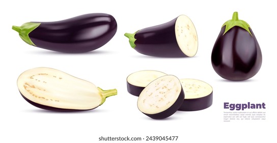 Raw realistic eggplant vegetable. Whole and half, slice and ring ripe isolated veggie food. Vector 3d eggplant or aubergine tropical vegetable with green stem, glossy purple peel, white flesh, seeds
