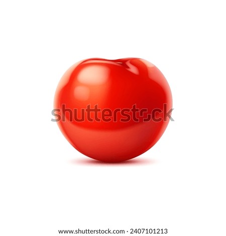 Raw realistic red ripe tomato, whole cherry vegetable. 3d vector vibrant, plump and juicy pomodoro plant glistens in the sunlight. Its smooth shiny skin embodying the essence of summer bounty Foto stock © 