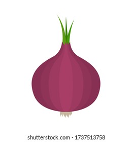 Raw red onion vegetable icon. Vector illustration, isolated on white background