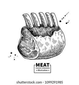 Raw ribs vector drawing. Beef, pork or lamb meat hand drawn sketch. Engraved raw food illustration. Vintage object. Butcher shop product. Great for label, restaurant menu. 