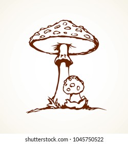 Raw ripe grebe parasol on white backdrop. Freehand line black ink hand drawn wild eco logo pictogram emblem sketchy in art retro scribble etch cartoon style pen on paper. Close-up with space for text