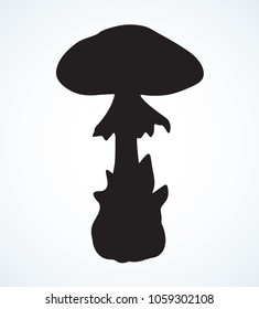 Raw ripe pale grebe parasol on white backdrop. Dark ink hand drawn eco logotype pictogram emblem in art retro contour etch cartoon print style. Close-up detail side ciew with space for text