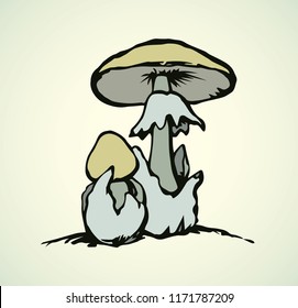 Raw ripe pale grebe parasol on light beige backdrop. Bright yellow color hand drawn eco logo pictogram emblem sketchy in art retro doodle etch style pen on paper space for text. Close-up macro view