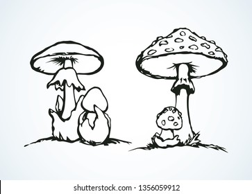 Raw ripe pale grebe parasol on light backdrop. Freehand line black ink hand drawn eco logo pictogram emblem sketchy in art retro scribble etch cartoon style pen on paper. Close-up with space for text