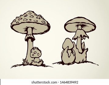 Raw ripe pale grebe parasol on light backdrop. Freehand line black ink hand drawn eco logo pictogram emblem sketchy in art retro scribble etch cartoon style pen on paper. Close-up with space for text