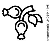 Raw rosehip berries icon outline vector. Wild rosehip fruit. Rose hip bush seed