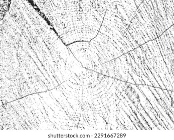 Raw and rustic vector texture of a plum tree cross-section with natural cracks. Monochrome organic background of an old sawn log. Ideal for posters, flyers, and social media graphics