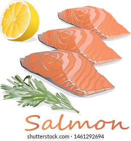 Raw salmon fillets with herbs on white background. Vector illustration.