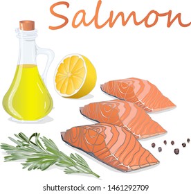 Raw salmon fillets with herbs on white background. Vector illustration.