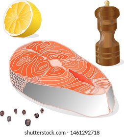 Raw salmon fillets with herbs on white background. Vector illustration.