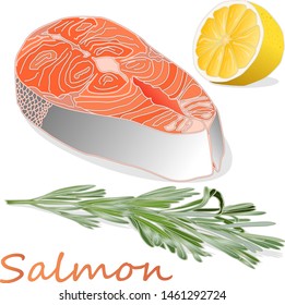 Raw salmon fillets with herbs on white background. Vector illustration.