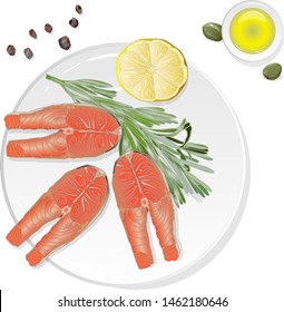 Raw salmon fillets with herbs on the plate. White background. Vector illustration.