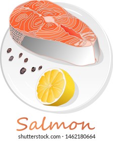 Raw salmon fillets with herbs on the plate. White background. Vector illustration.