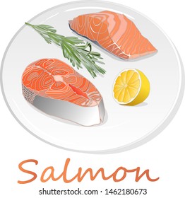 Raw salmon fillets with herbs on the plate. White background. Vector illustration.