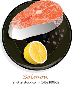 Raw salmon fillets with herbs on the plate. White background. Vector illustration.