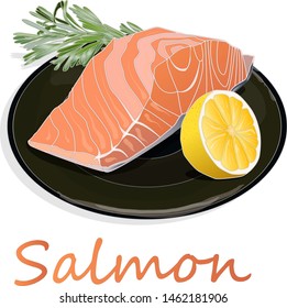 Raw salmon fillets with herbs on the plate. White background. Vector illustration.