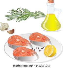 Raw salmon fillets with herbs on the plate. White background. Vector illustration.