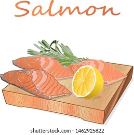 Raw salmon fillets with herbs on wooden desk. White background. Vector illustration.