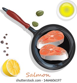 Raw salmon fillets on the pan with herbs. White background. Vector illustration, separated layers.