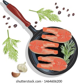 Raw salmon fillets on the pan with herbs. White background. Vector illustration, separated layers.