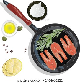 Raw salmon fillets on the pan with herbs. White background. Vector illustration, separated layers.
