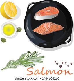 Raw salmon fillets on the pan with herbs. White background. Vector illustration, separated layers.