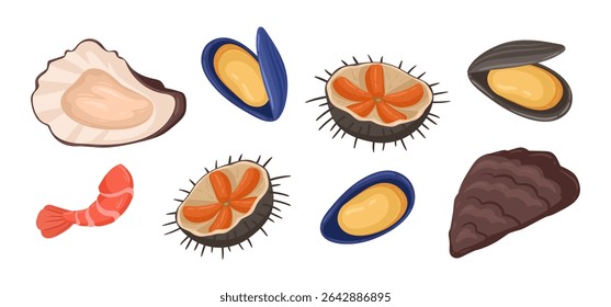 Comida crua para o mar. Cartoon mar ​ouriço​ostras e mexilhões, delicioso marisco mar plano vetor ilustração set. Alimentos dietéticos mediterrânicos