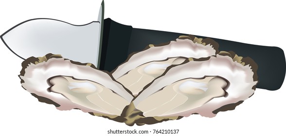 raw seafood open oysters