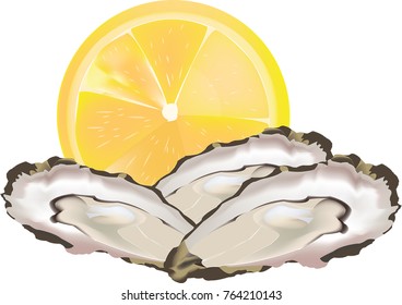 raw seafood open oysters