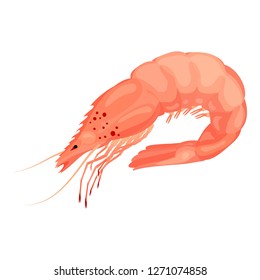 Raw shrimp icon. Cartoon of raw shrimp vector icon for web design isolated on white background