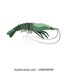 Raw shrimp illustration. Mollusc, ocean, seafood. Nature concept. Vector illustration can be used for topics like sea animals, restaurant, eating