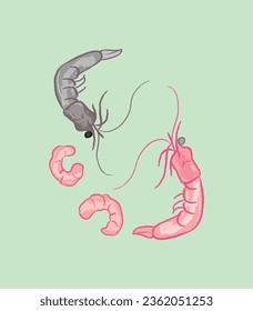 Raw shrimp, peeled cooked shrimps, and unpeeled shrimp