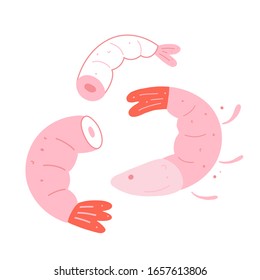 Raw shrimps isolated, doodle vector illustrations, prawn sea food, without head, cute hand drawn cartoon style, fresh seafood drawing, good as logo or icon drawing for cafe, menu or restaurant.