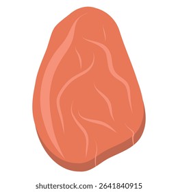 Raw slice fillet with veins. Raw steak vector illustration on a white background. Meat piece