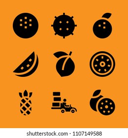 raw, snack, clementine and icon icon set. Vector illustration for web and design.