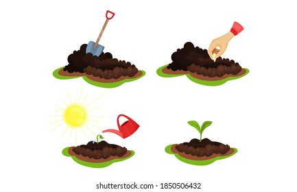 Conjunto de vectores de semilla para suelos y plantas a mano