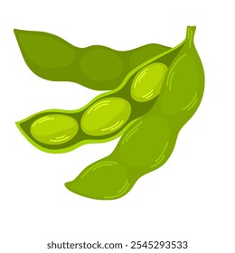 Raw soy, soybeans pods isolated vector set. Green fresh  bean husk with seeds and leaves, soya natural vegetable plant. Vector healthy food cartoon illustration soybeans, organic veggies, harvest