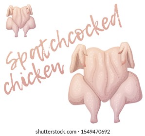 Raw spatchcocked chicken illustration. Cartoon vector illustration isolated on white background