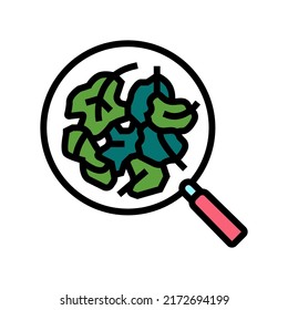 raw spinach color icon vector. raw spinach sign. isolated symbol illustration