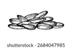Raw sunflower seeds in shells monochrome vector line ink illustration. Healthy snack pile. Sun flower unpeeled grains heap for packaging, bird food label, culinary blog, rustic design.