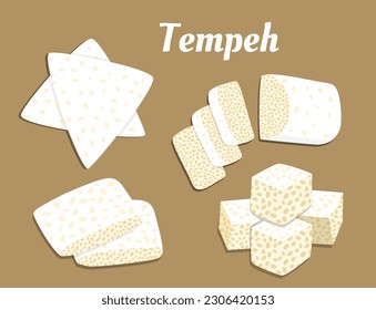 Raw tempeh Illustration with various slices style. Indonesian food vector