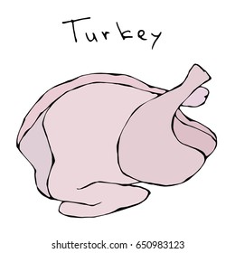 Raw Turkey Full Carcass. Fresh Fowl Meat. Realistic Vector Illustration Isolated Hand Drawn Doodle or Cartoon Style Sketch.