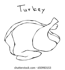 Raw Turkey Full Carcass. Fresh Fowl Meat. Realistic Vector Illustration Isolated Hand Drawn Doodle or Cartoon Style Sketch.