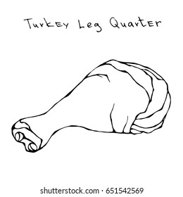 Raw Turkey Leg Quarter. Realistic Vector Illustration Isolated Hand Drawn Doodle or Cartoon Style Sketch. Fresh Fowl Meat Carcass.