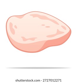 Ilustración aislada de Vector de filete de rebanada de carne de pavo cruda