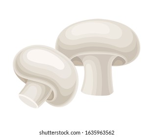 Raw Uncooked Champignons Isolated on White Background Vector Food Item